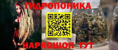 стафф Новокубанск