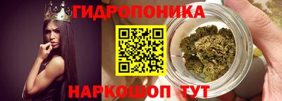 стафф Новокубанск