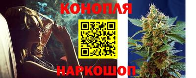 стафф Новокубанск