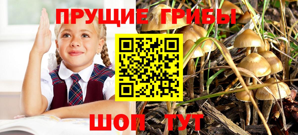Чапаевск  где купить наркотик  Вход с VPN  Галлюциногенные грибы мицелий 